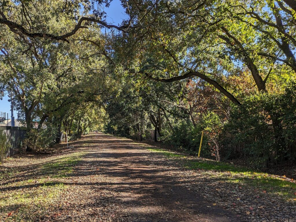 The Iron Horse Regional Trail under oak trees in Danville