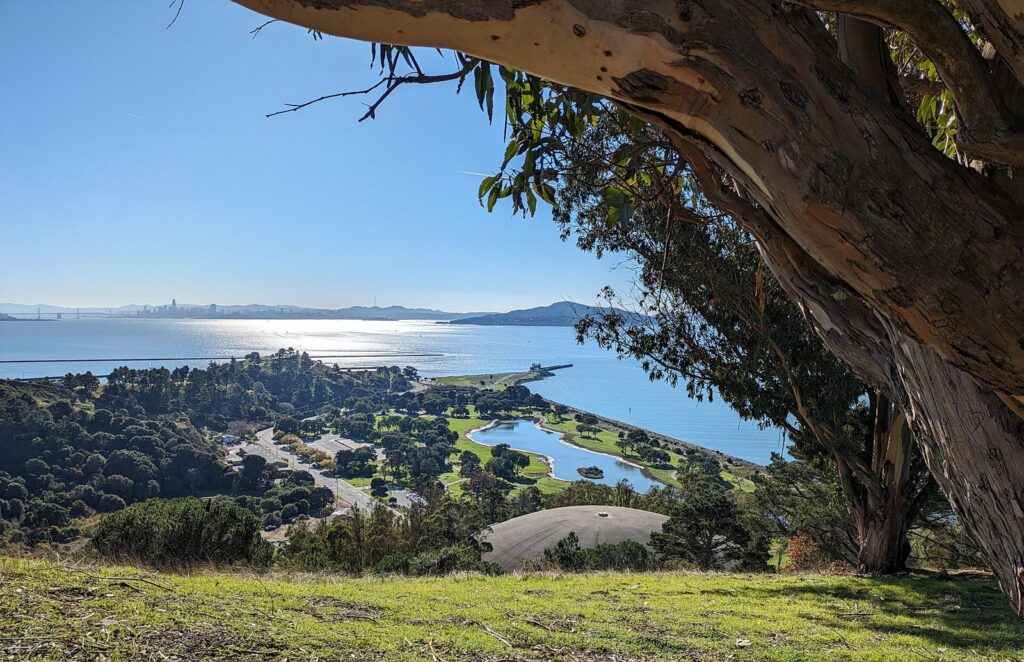 Richmond and the bay seen from Miller/Knox Regional Shoreline